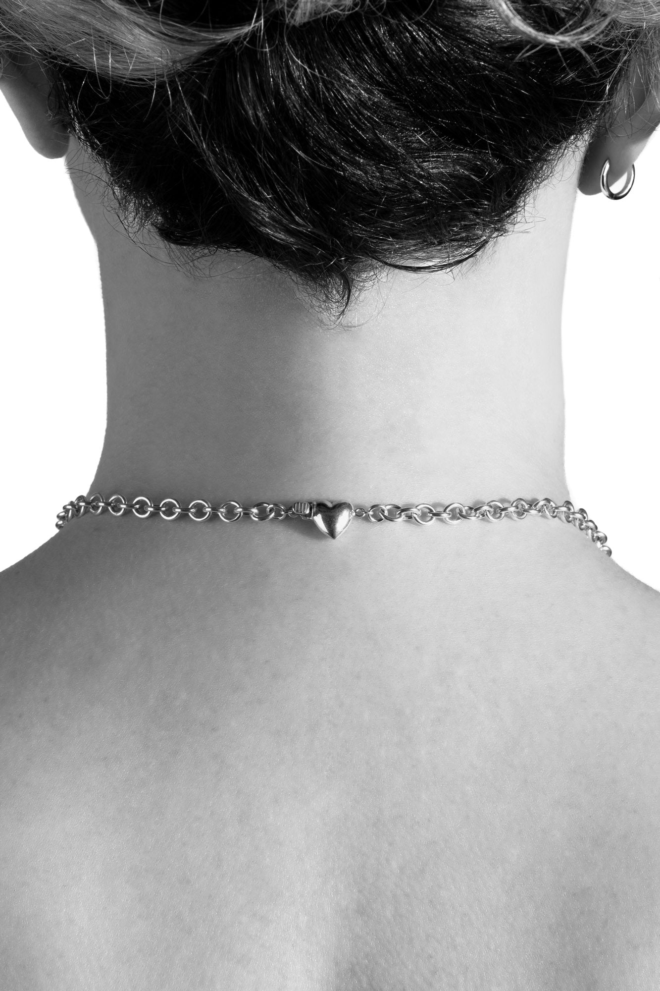 Pet Collar