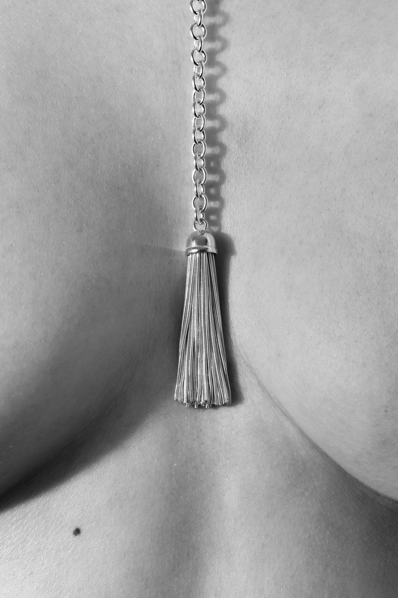 Pet Lead